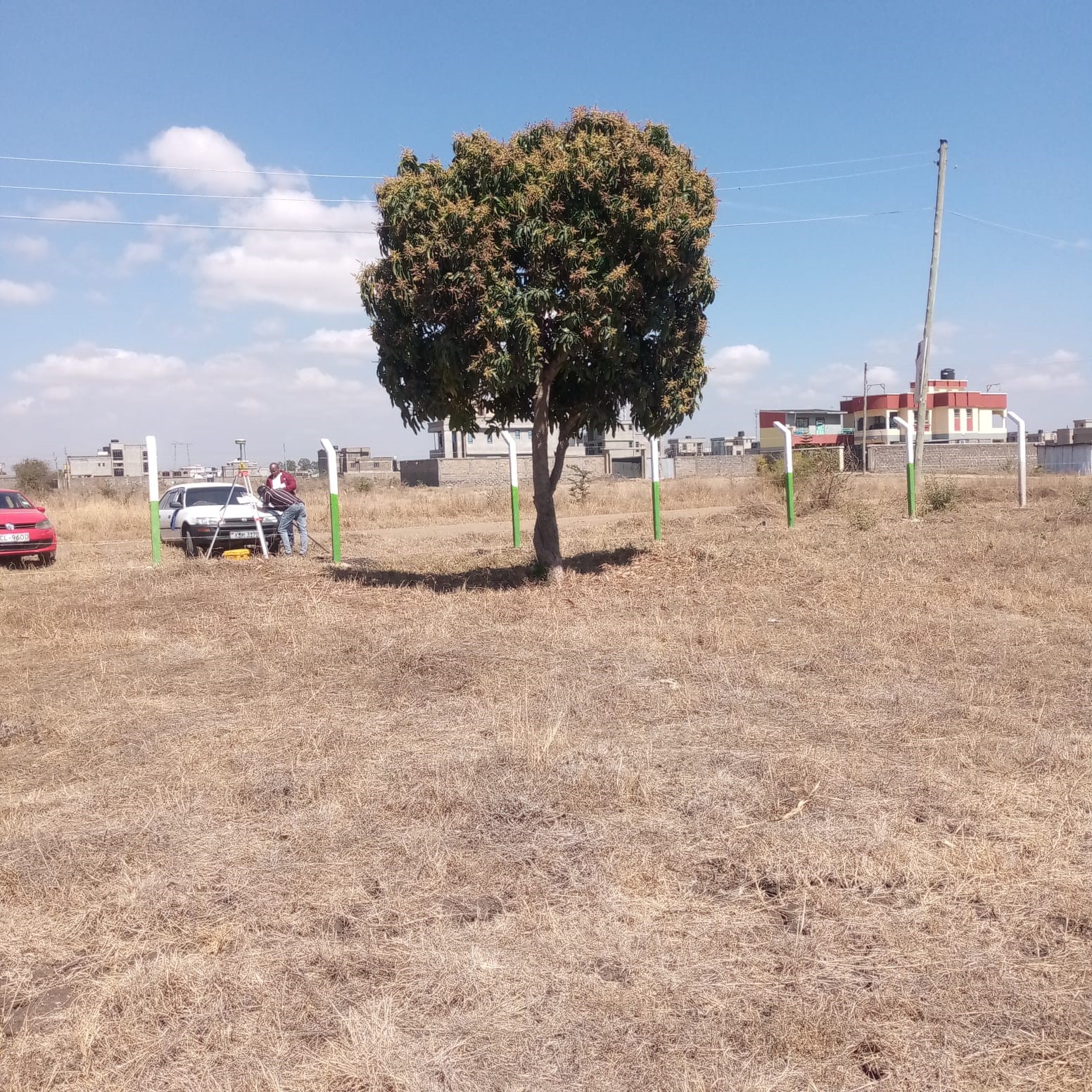 Due Diligence on Buying Land - Pre-purchase inspection by a surveyor
